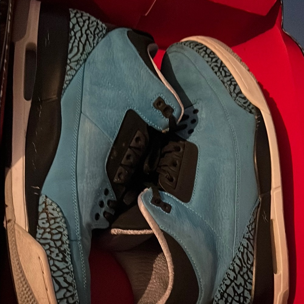 Air Jordan 3 retro